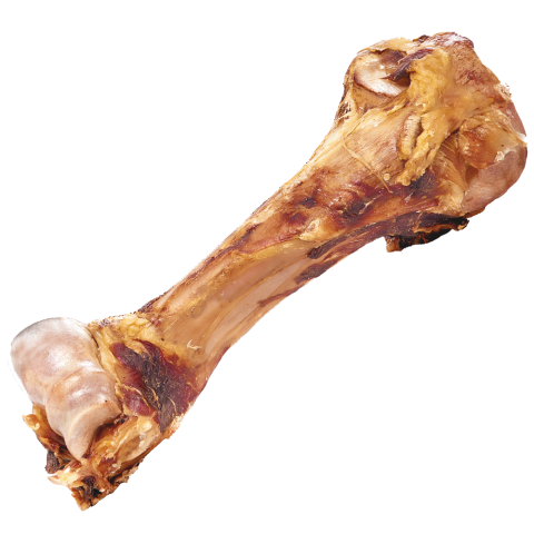 Kauwmateriaal Dino-bot groot 1 St.