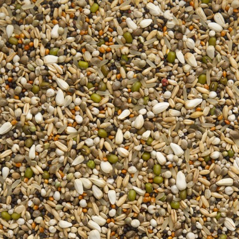 Beyers Premium snoepzaad exclusief 5 kg