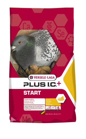 Versele laga Start plus I.C. kweek 20 kg