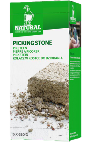 Natural Piksteen 6 St.