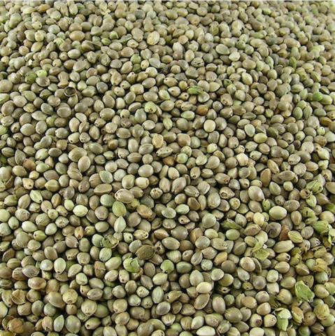 Enkelvoudig Hennep zaad 1 kg