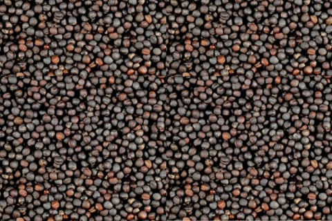 Enkelvoudig Raapzaad 1 kg